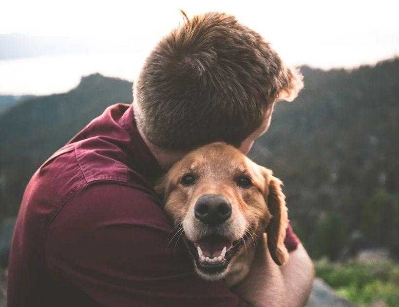 The Happy Doggo