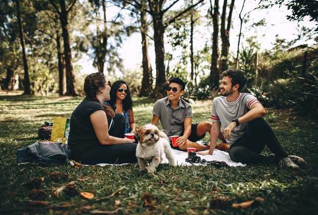 A group of people having a picnic with a small dog