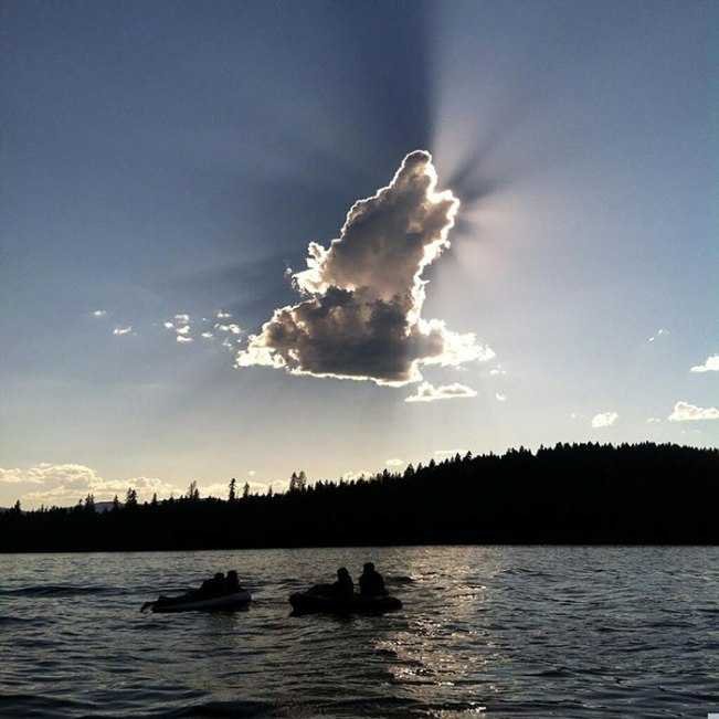 this-dog-shaped-cloud-reminds-us-that-dogs-are-a-gift-sent-from-heaven-06