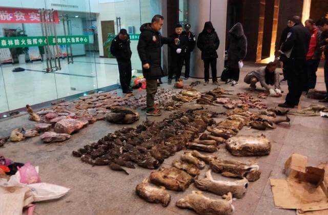 China_Outbreak_Wildlife_Trade
