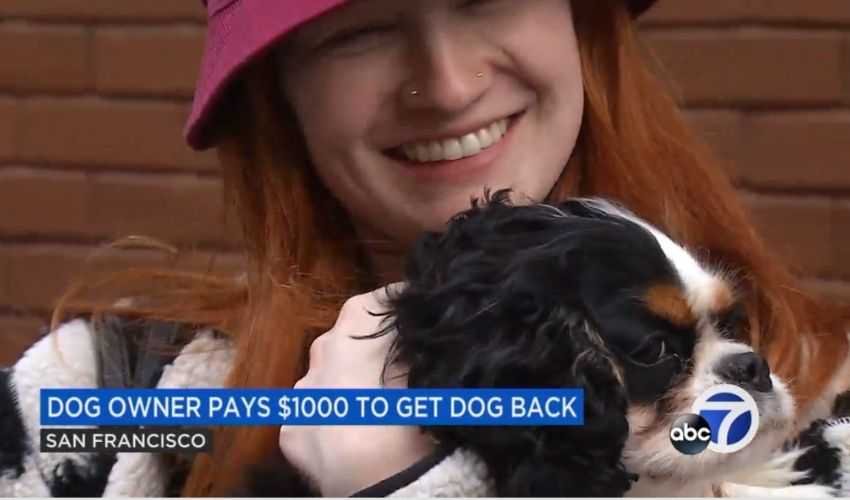 dog owner pays $1000 to get the dog back