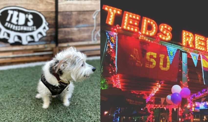 Arizona Dog Park 1st ever to serve adult beverages and snacks
