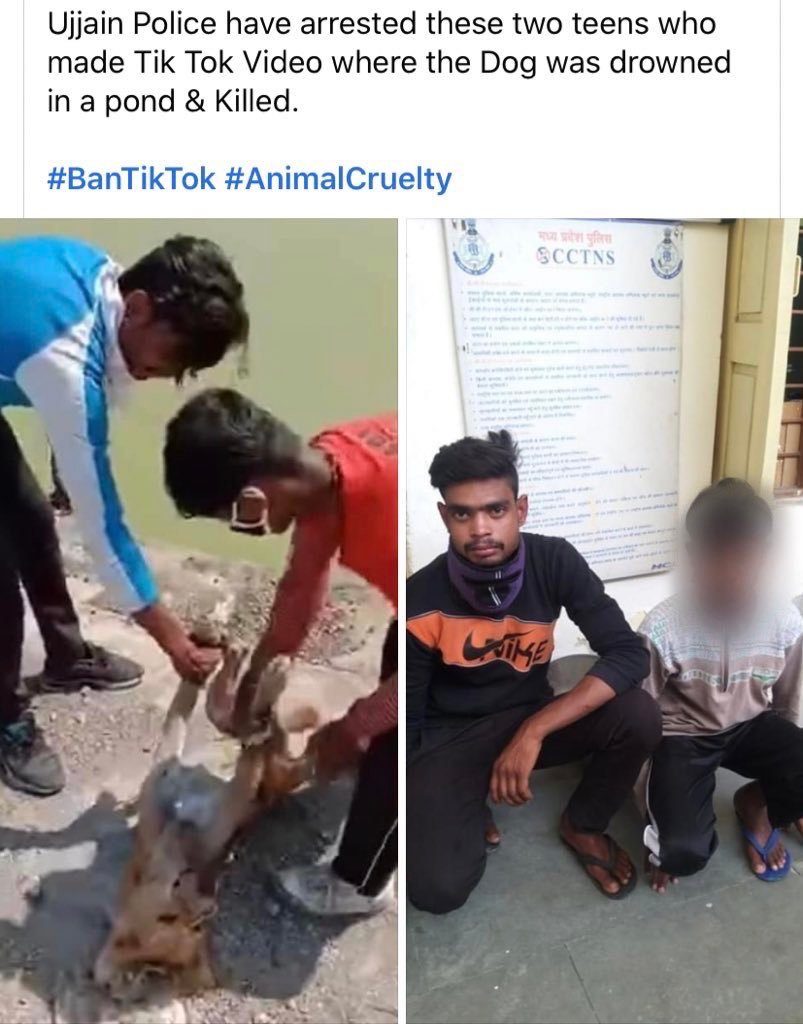 TikTok makers finally nabbed by the joint effort of Mumbai and Ujjain Police after posting an inhuman video of forcefully drowning dog