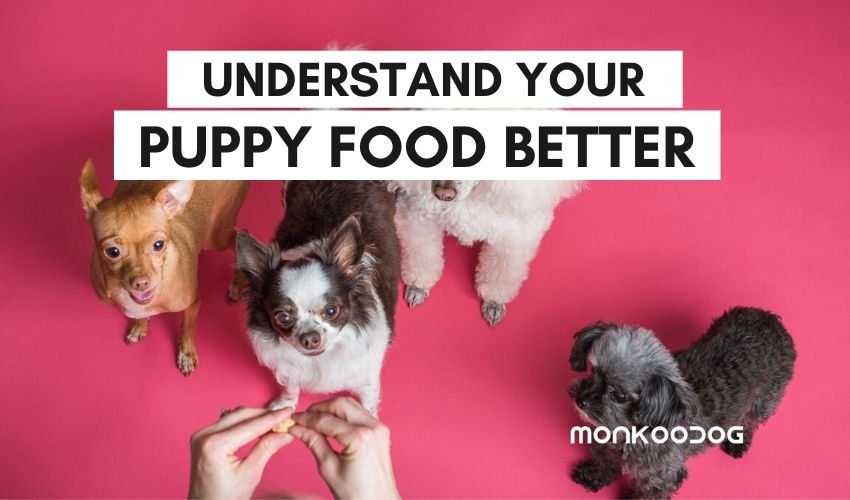 Understanding Dog Food Better - The Choice of the Right Food for Adult Dogs vs Puppies