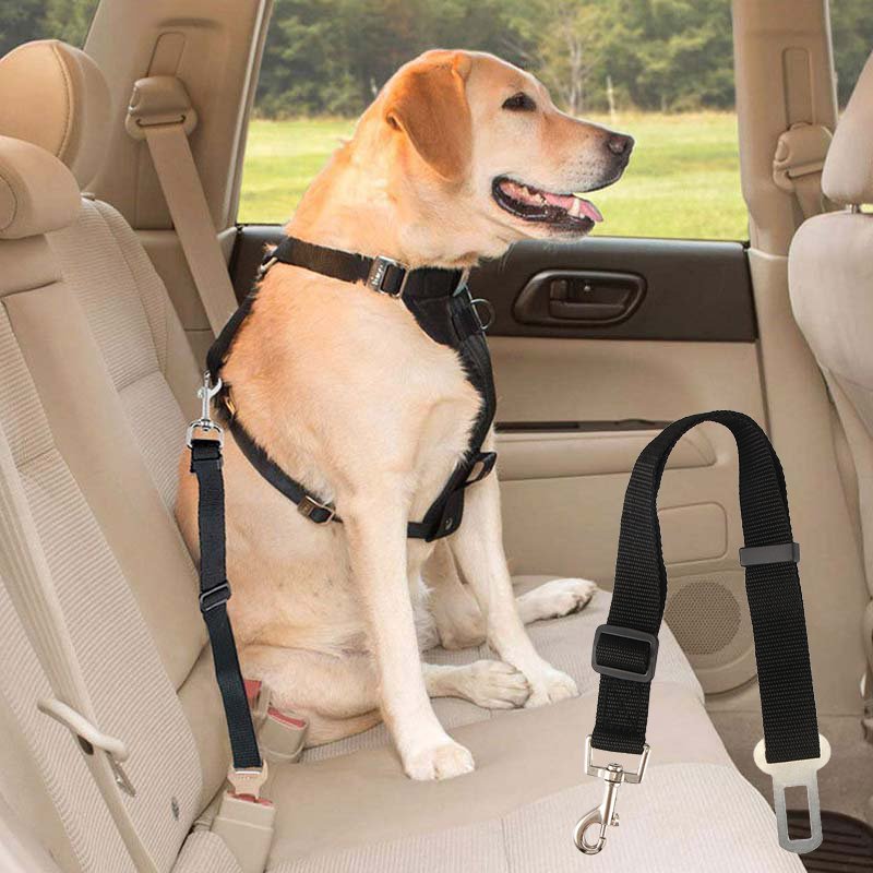 Adjustable car seat belt harness for dogs.