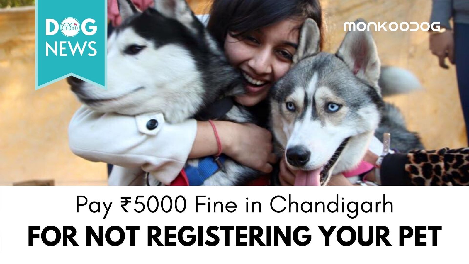 Chandigarh Residents Rush to Register Dogs Amidst the New Reformed Pet Law and Order in the City