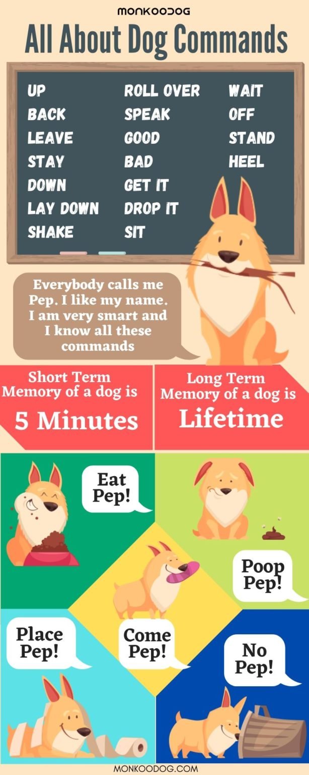 all-about-dog-commands-monkoodog
