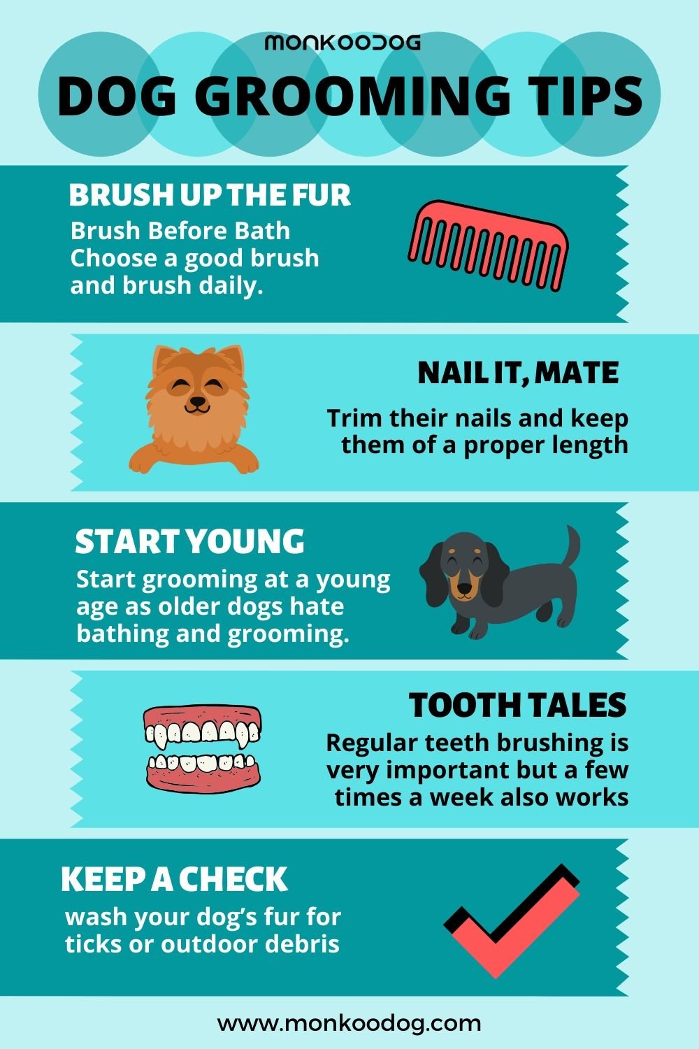 should you brush your dog everyday