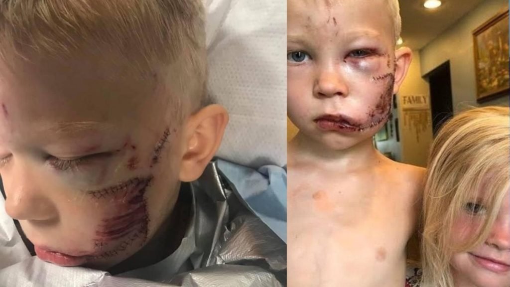 From Captain America to Iron Man, Reel Superheroes Praise 6 years old Boy After Saving his Sister’s life from a Dog (1)