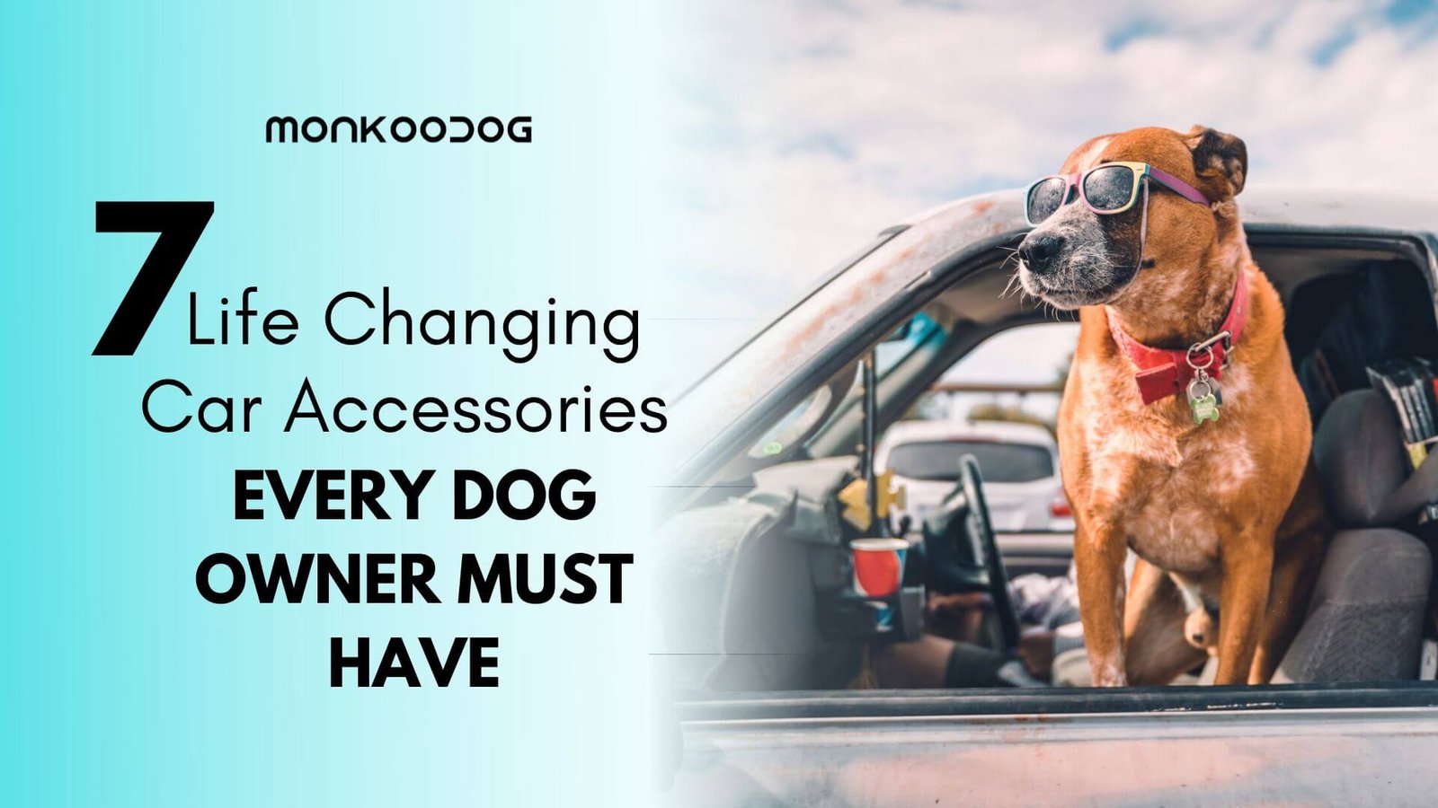https://www.monkoodog.com/wp-content/uploads/2020/07/Top-7-Car-accessories-for-your-car-to-make-it-dog-friendly-1.jpg
