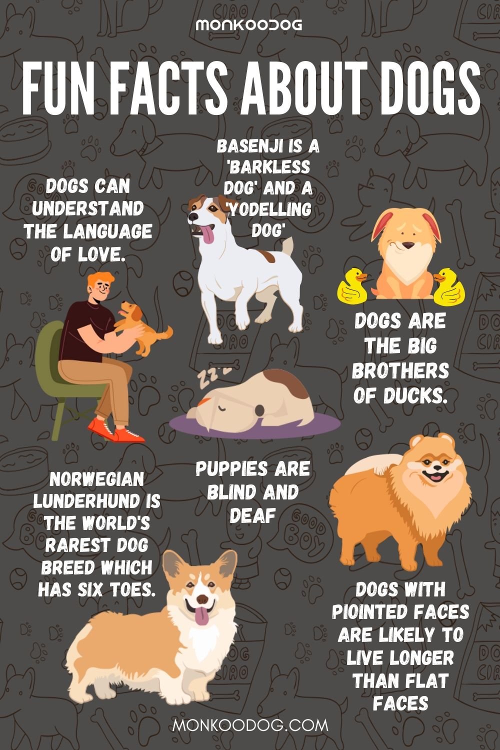 fun facts about dogs