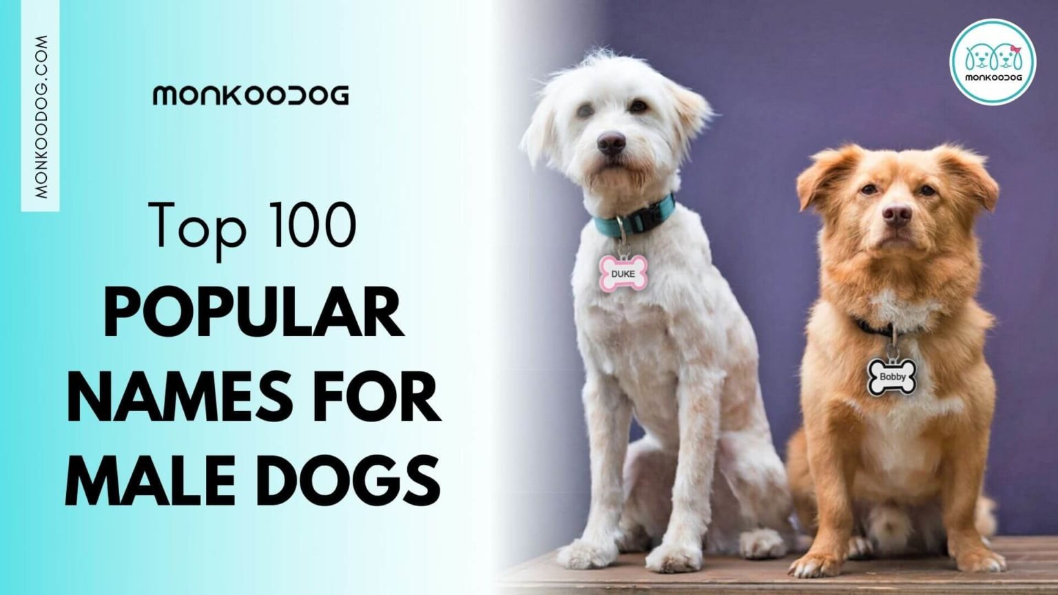 Top 100 Most Popular Male Dog Names Monkoodog