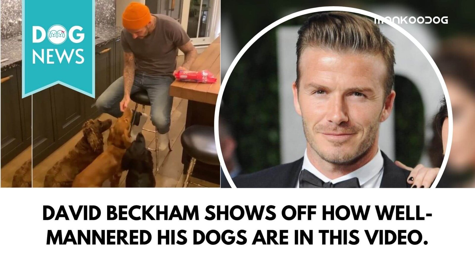 Victoria Beckham names David Beckham - The Dog Whisperer in viral social media post