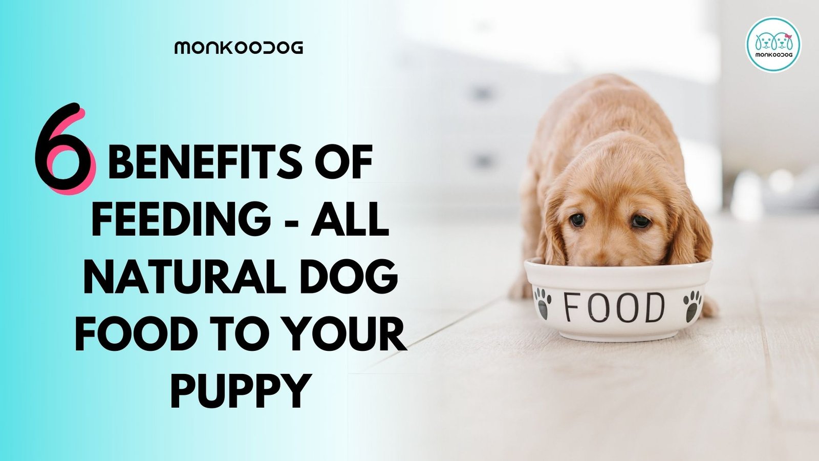 6 benefits of feeding - all natural dog food to your puppy