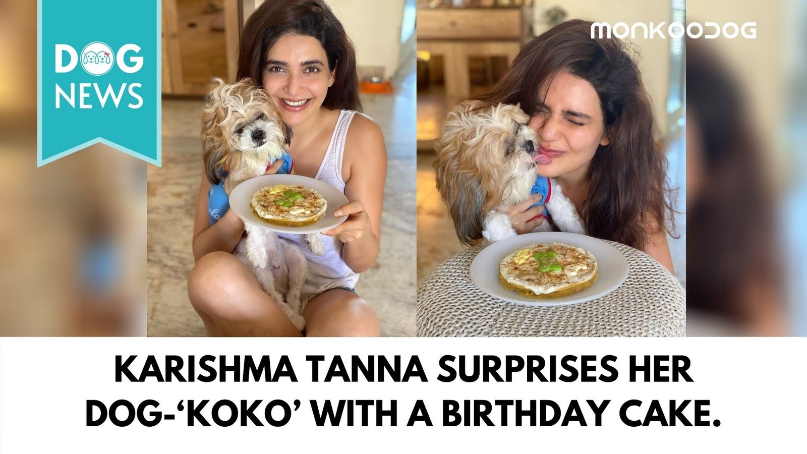 Karishma Tanna surprises her cute little dog-‘koko’ with a yummy cake on his birthday.