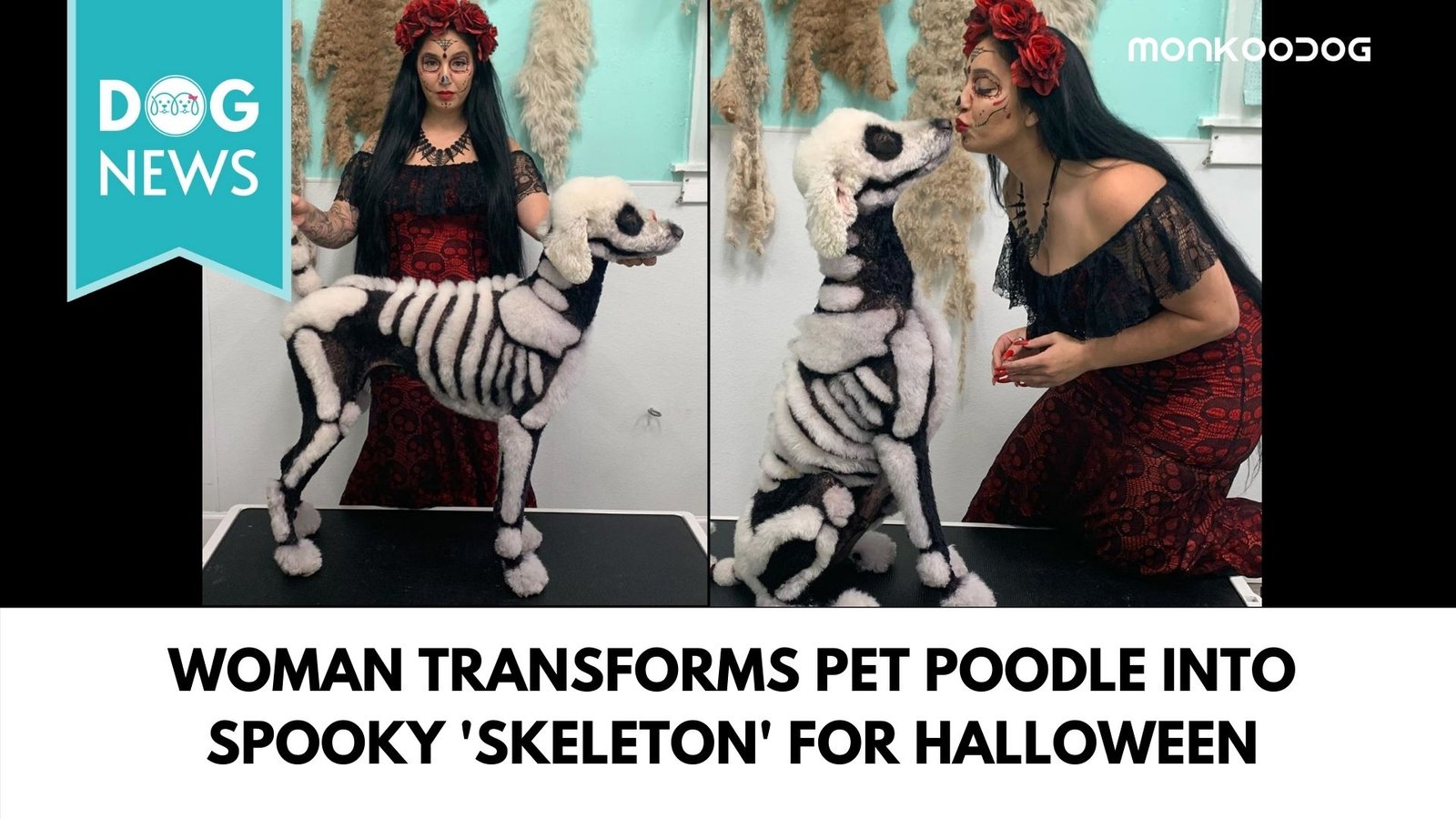 Woman Transformed Up Pet Poodle As A Skeleton
