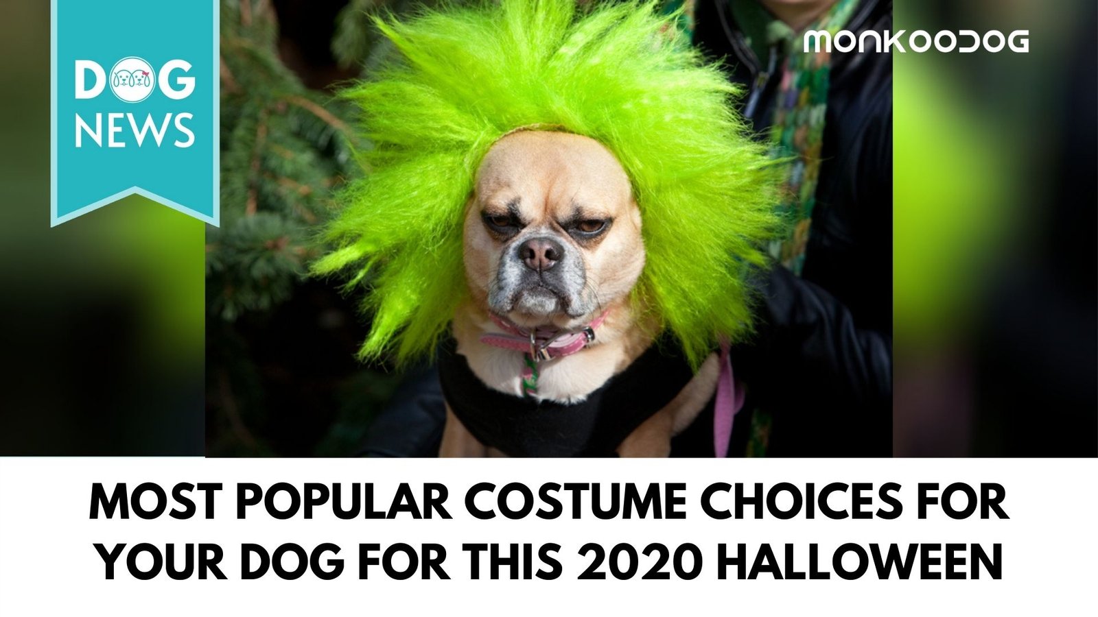 Zodiac-approved Halloween costumes for you and your dog