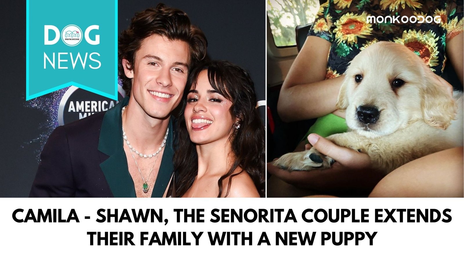 Camila - Shawn, the Senorita Couple extends their family with a new puppy