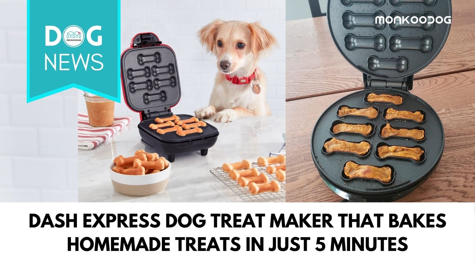 Dash Dog Treat Maker  A Convenient Way to Make Your Own Dog Treats