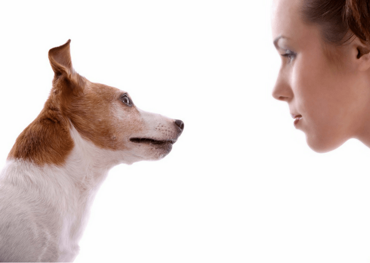 Eye-Contact-With-Dog