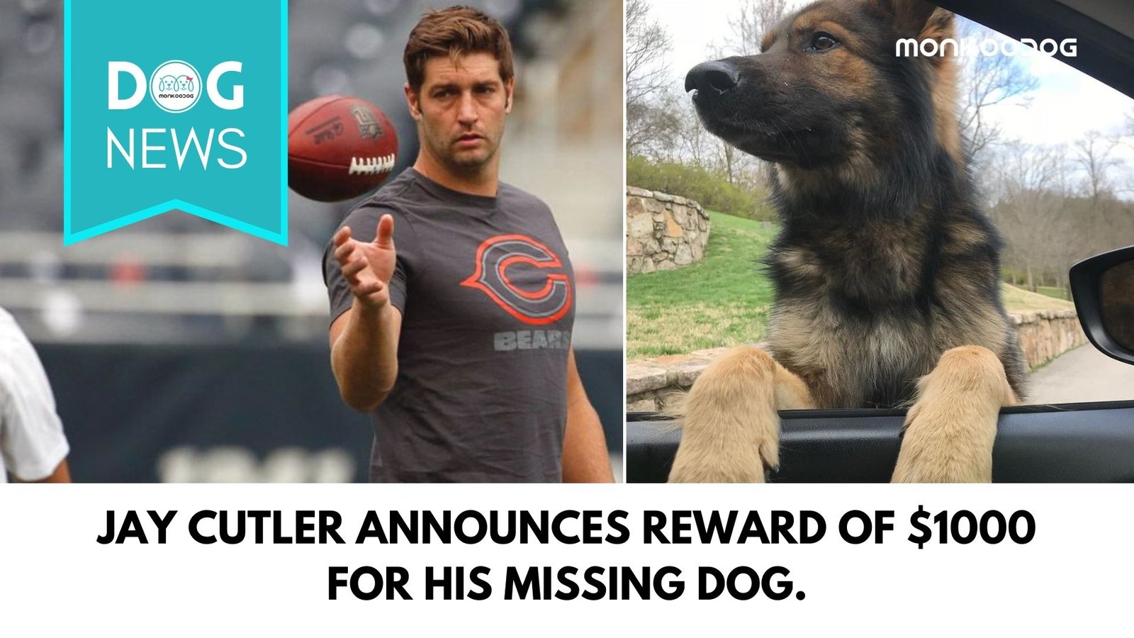 Jay Cutler Announces Reward of $1000 For His Missing Dog.