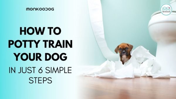 How to Potty Train Your Dog - Monkoodog