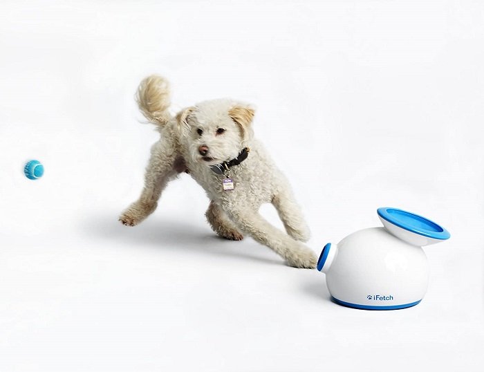 Interactive Ball Launchers by iFetch