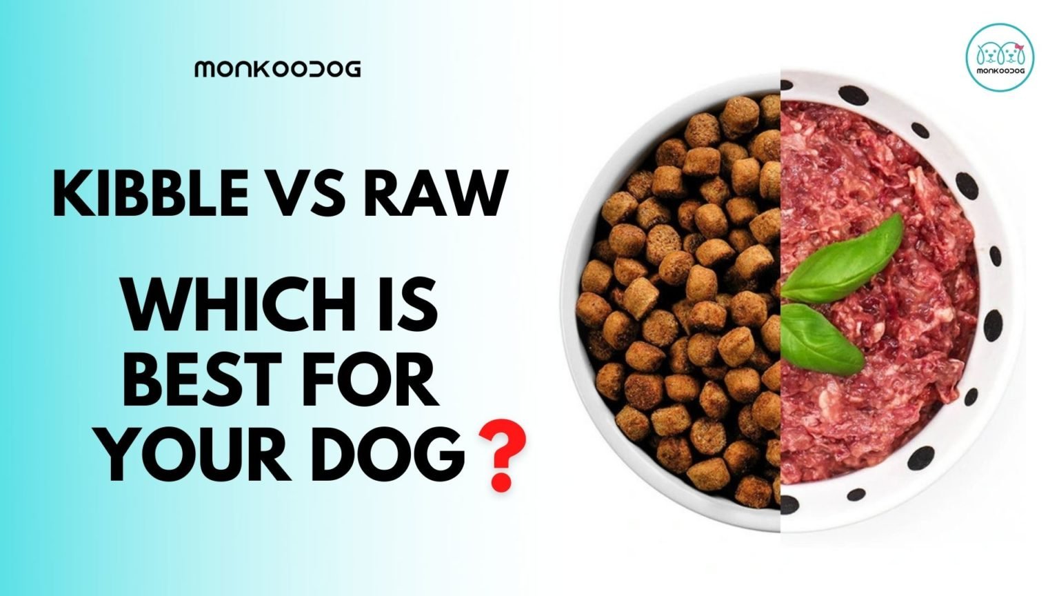 Raw Diet or Kibble Which is Best for Your Dog Monkoodog