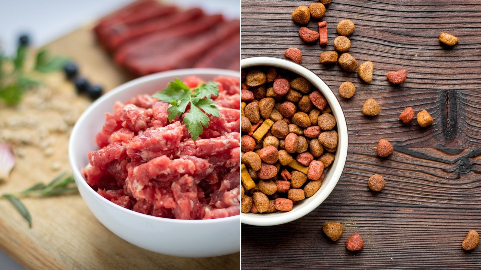 Raw Diet or Kibble Which is Best for Your Dog Monkoodog