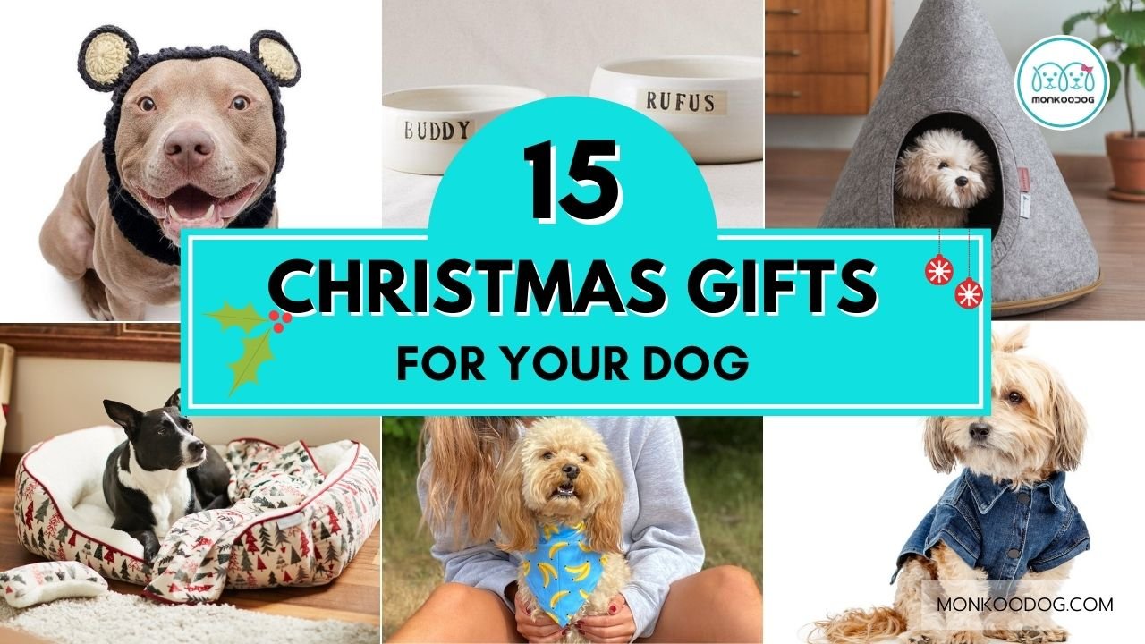Top 15 Gift Ideas For Your dog This Christmas