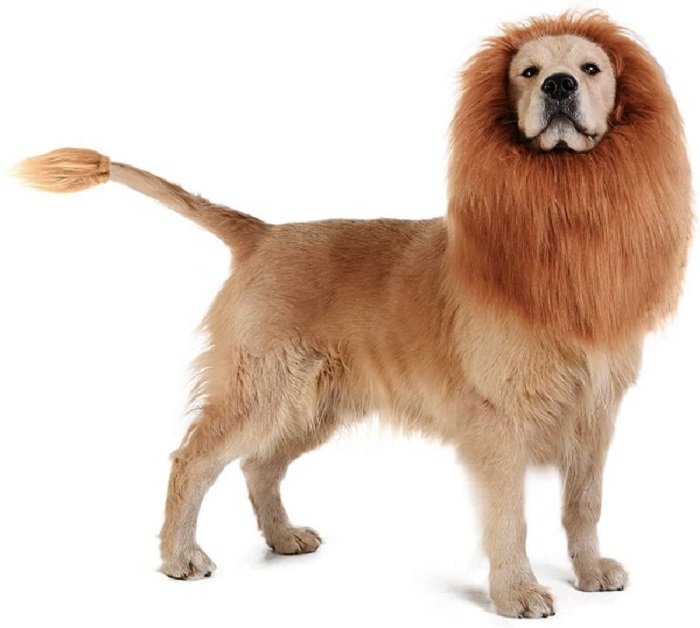 Lion Mane Wig