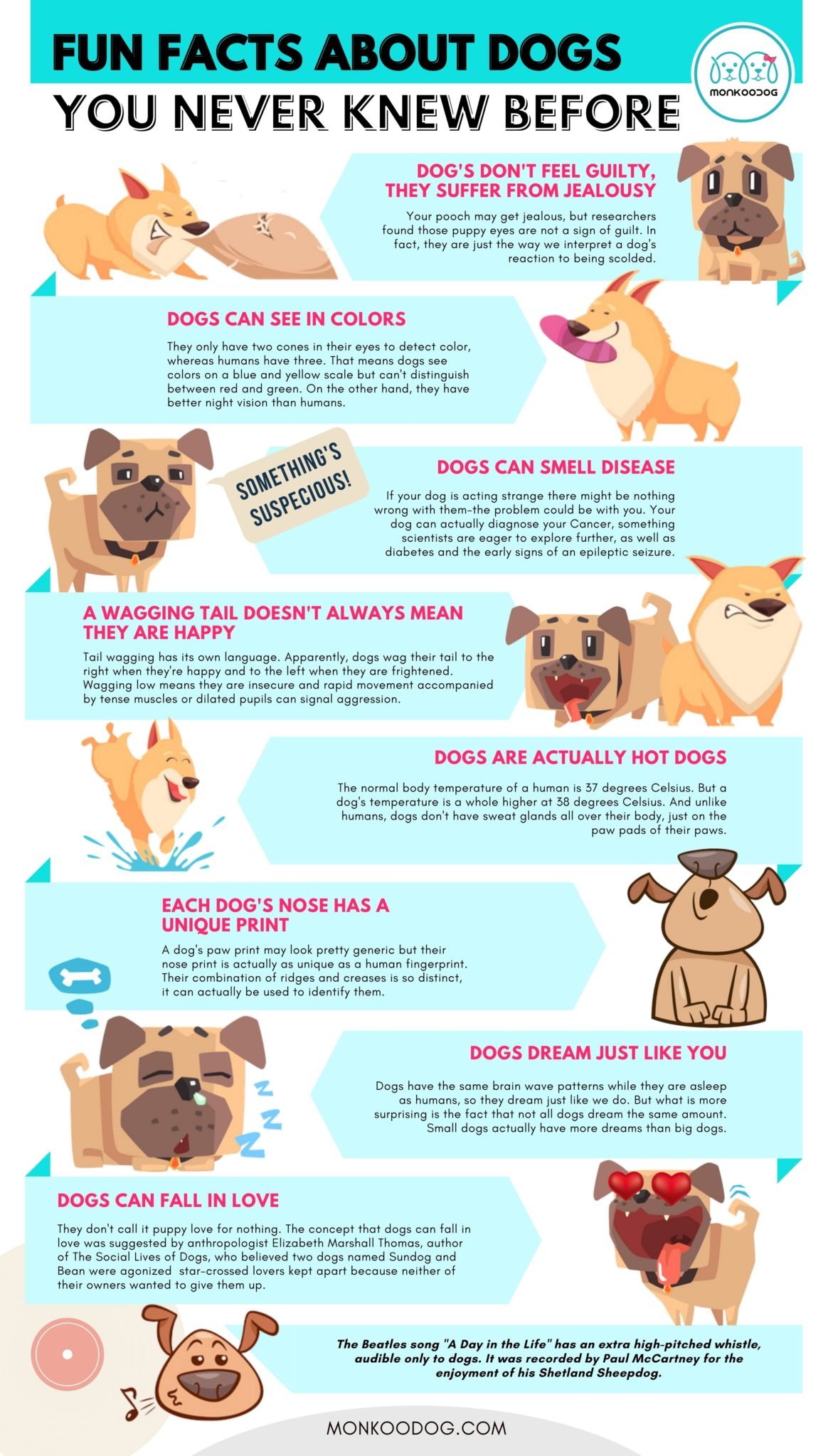 amazing-fun-facts-about-dogs-you-probably-didn-t-know-monkoodog