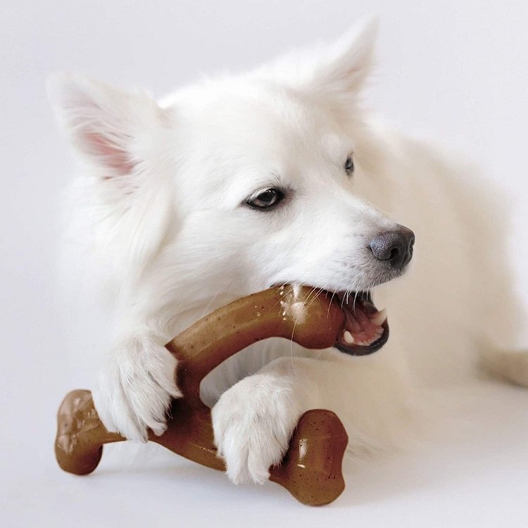 Benebone dog Chew Toy