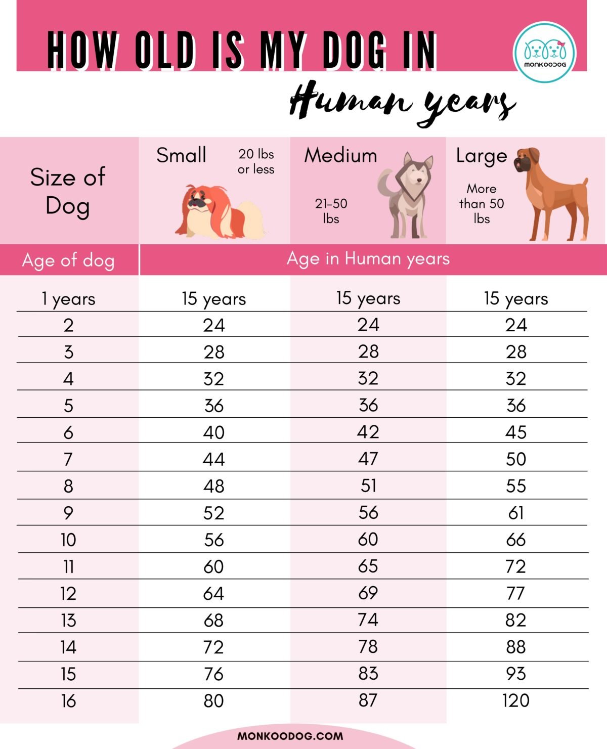 Dog Age Calculator: How old is my dog in human years - Monkoodog