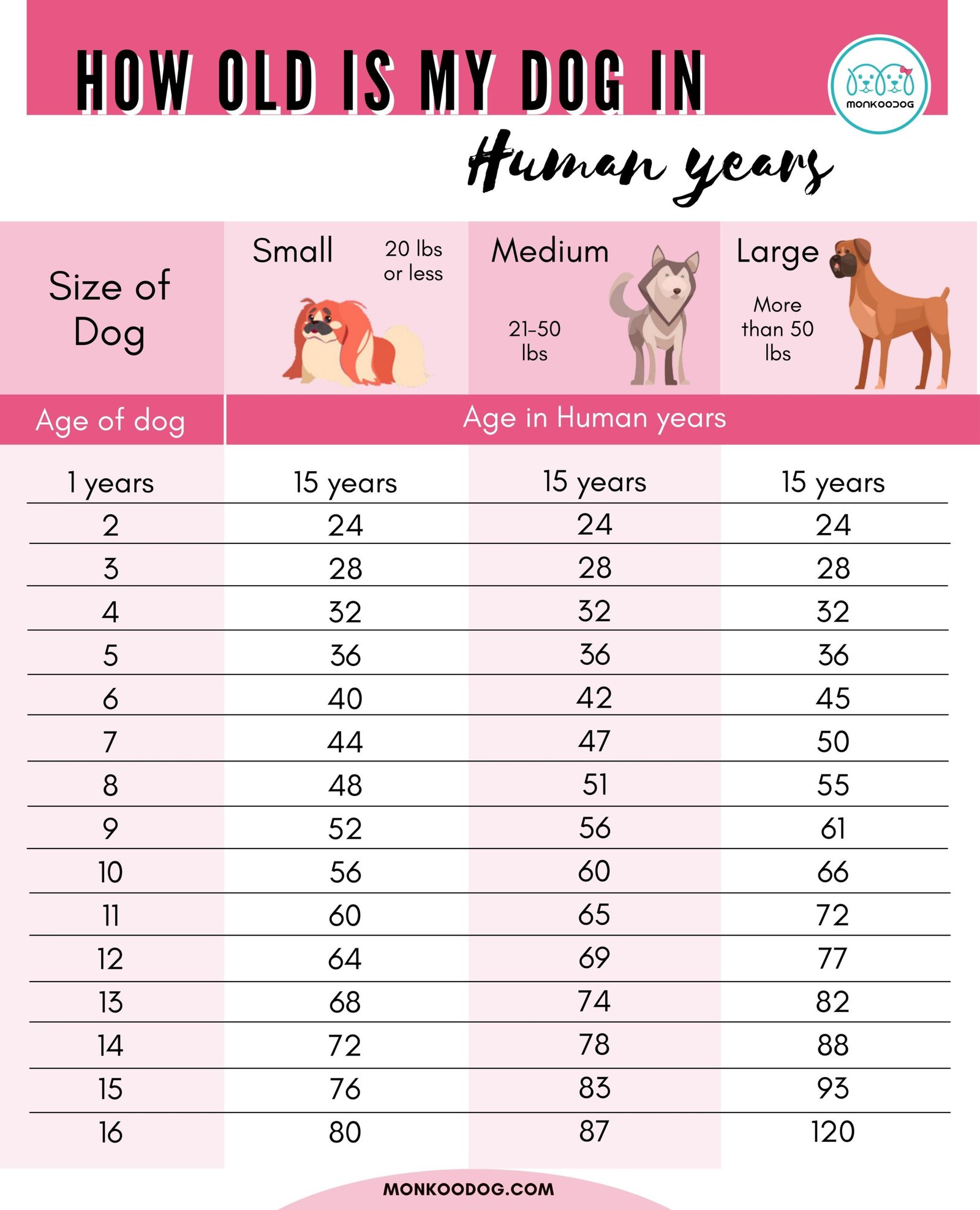 dog years to human years