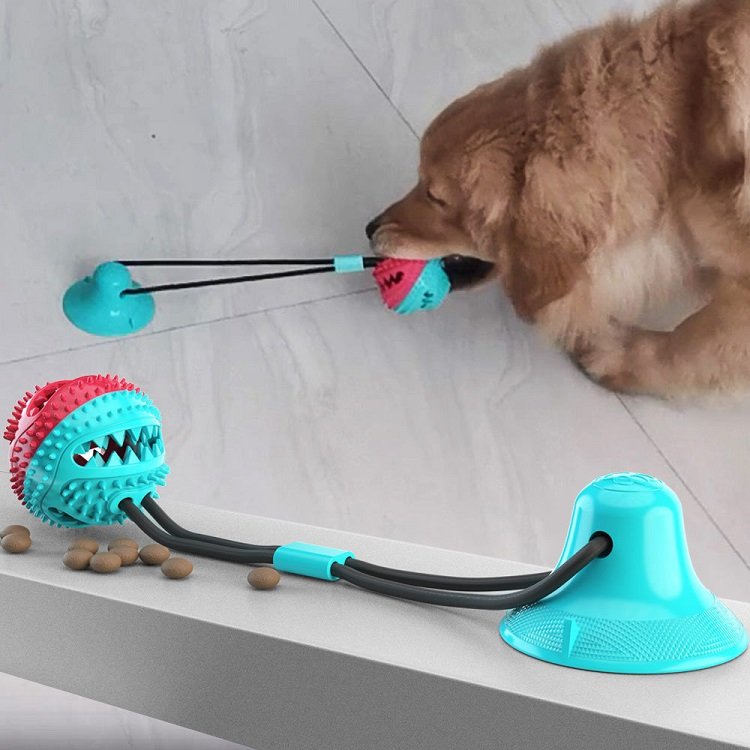 10 Innovative Trending Pet Toys of 2021 Monkoodog
