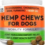 The Best Joint Supplements For Dogs - Monkoodog