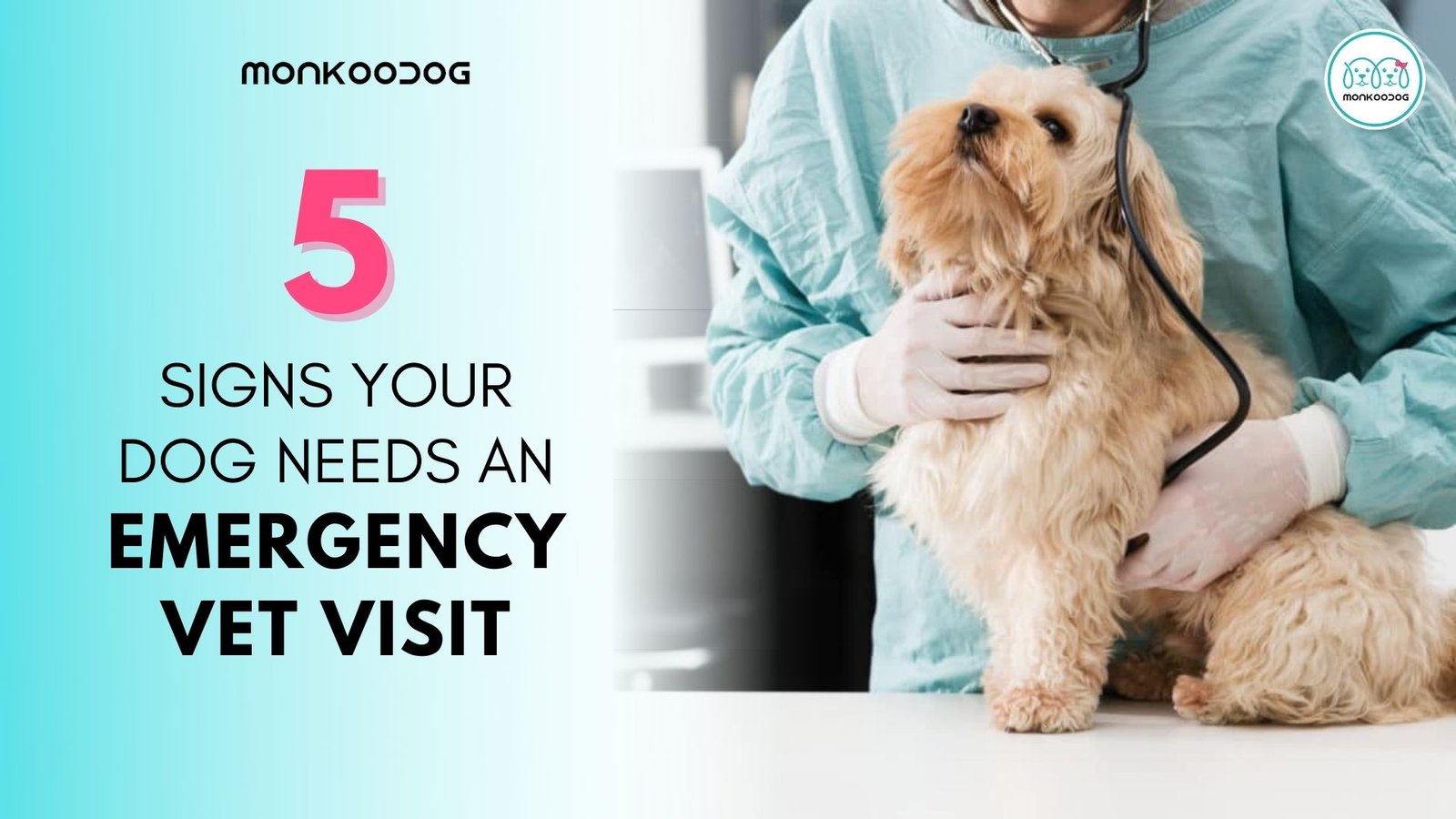 5 signs your dog needs an emergency visit