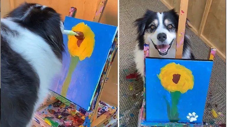 Dog astonishes the netizens by painting