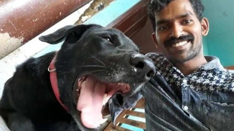 Labrador brutally beaten