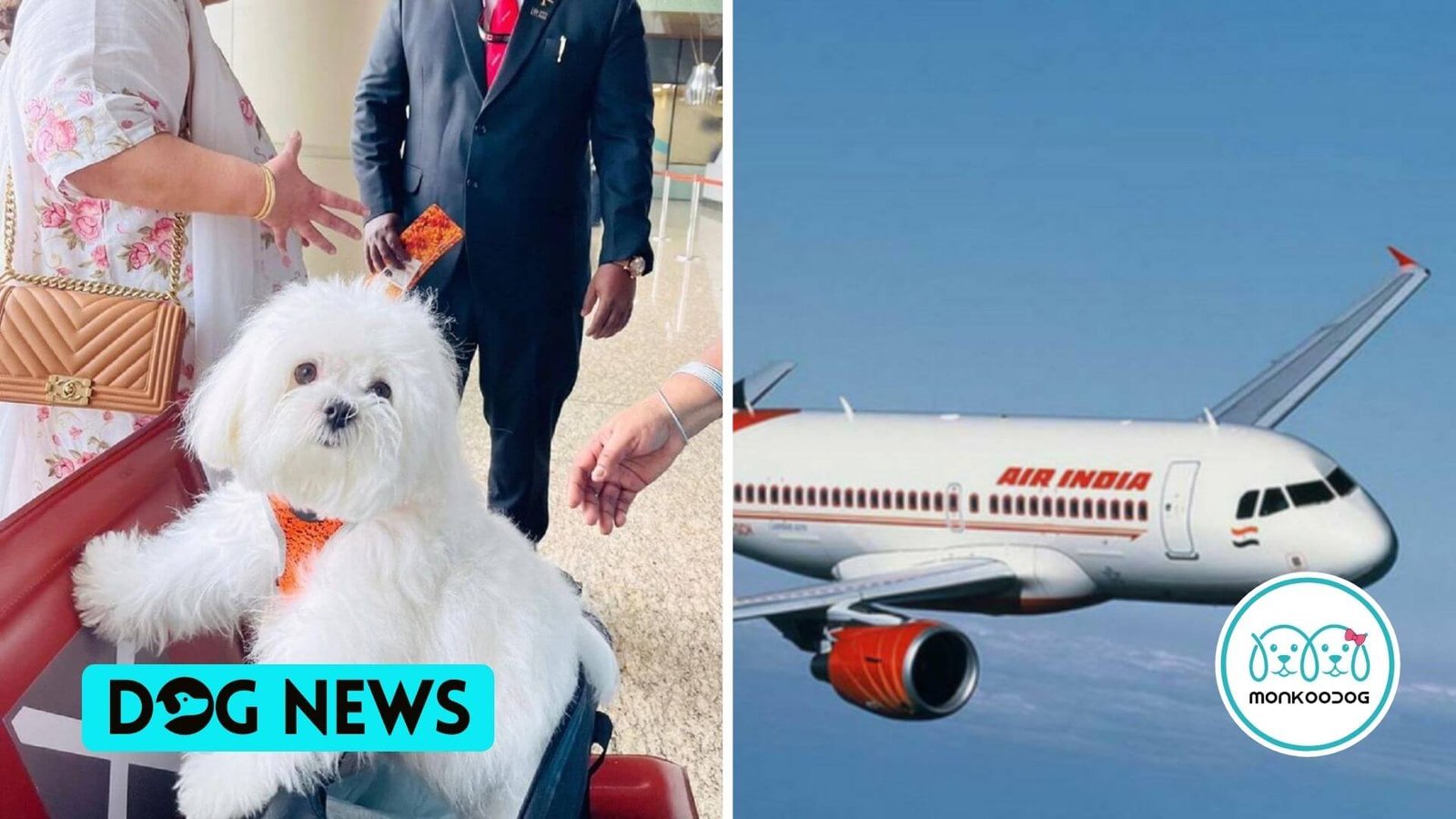 air india travel with pet