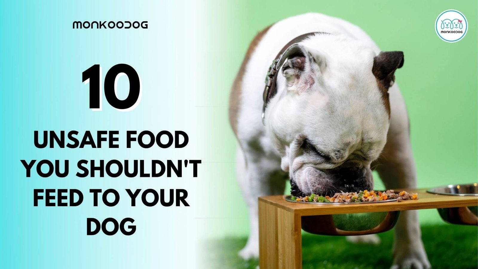 Canine healthcare - 10 Foods You Shouldn't Feed Your Pet Dog