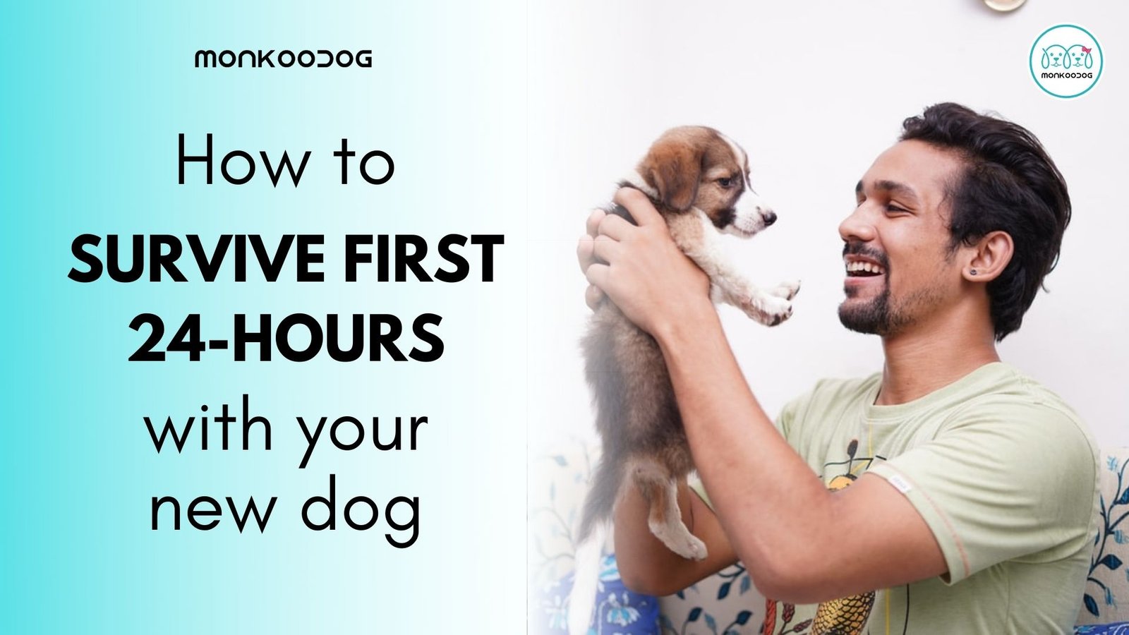 Surviving the first 24 hours New Dog