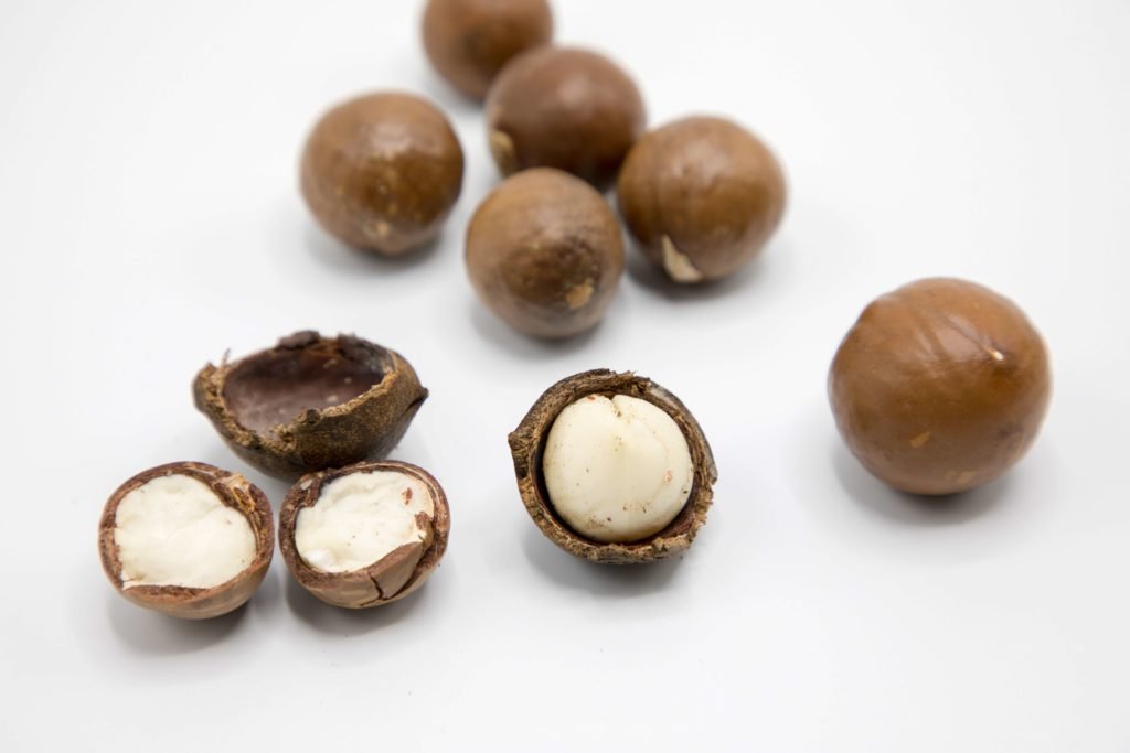 Macadamia nuts is the food you shouldn't feed your dog