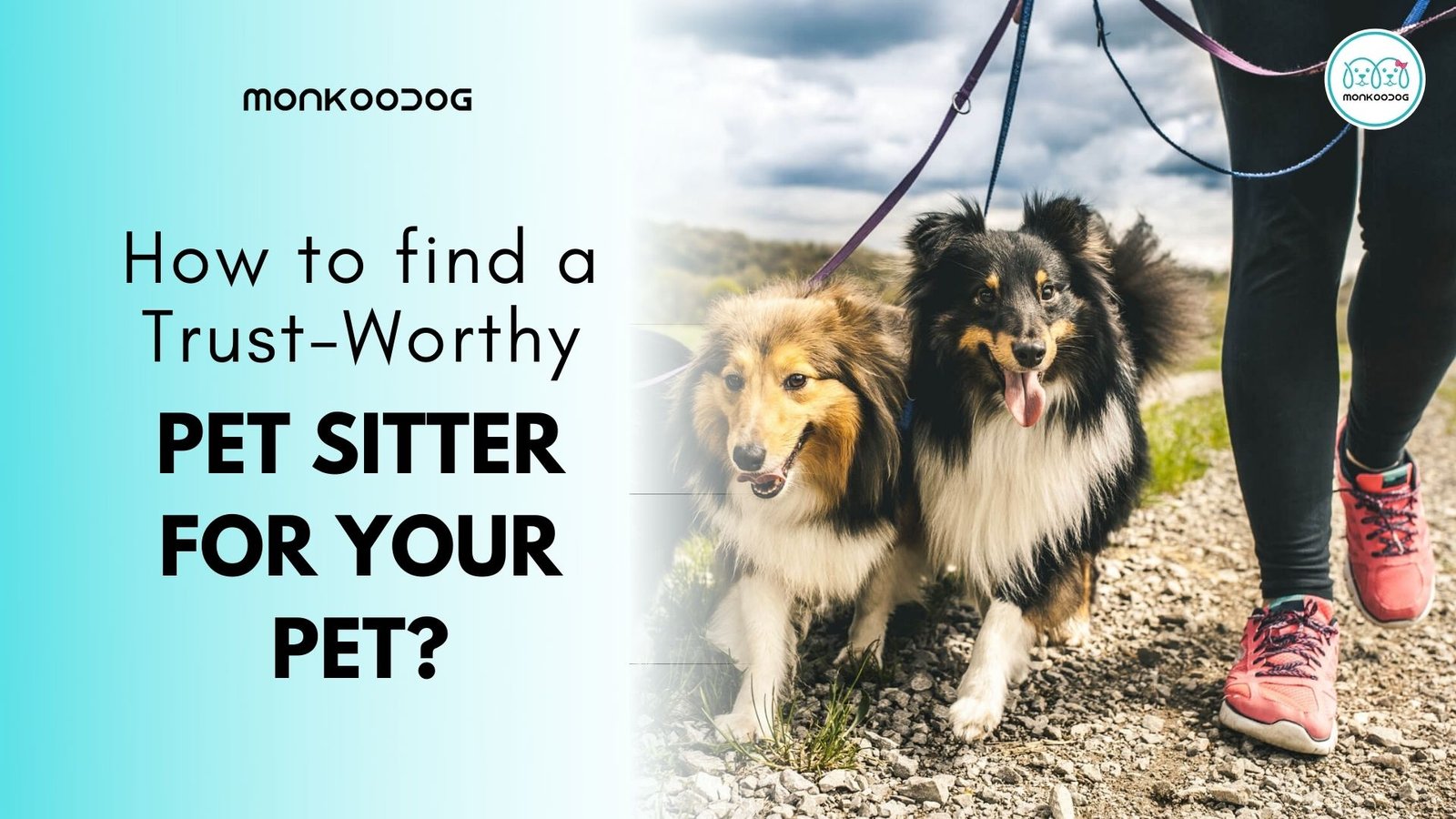 How to find a trust worthy pet sitter for your pet
