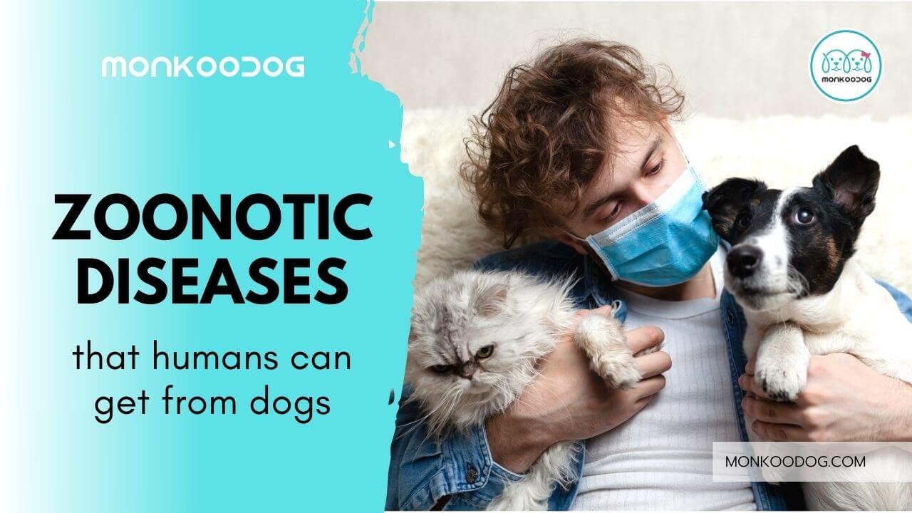 10 Zoonotic Diseases In Dogs That Any Human Can Get