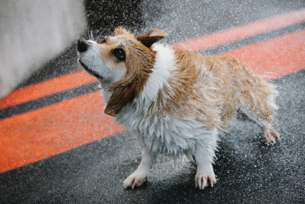 Bathing Before Brushing