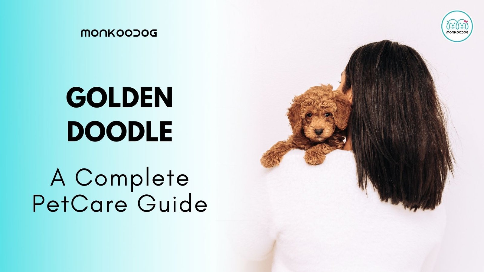 Golden Doodle Pet Care Guide