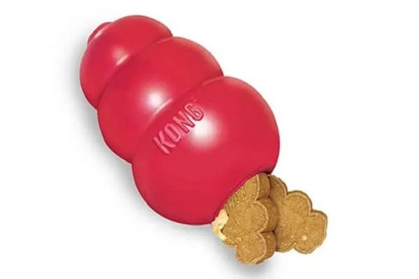 Puzzle Toys That Actually Help Bored Dogs