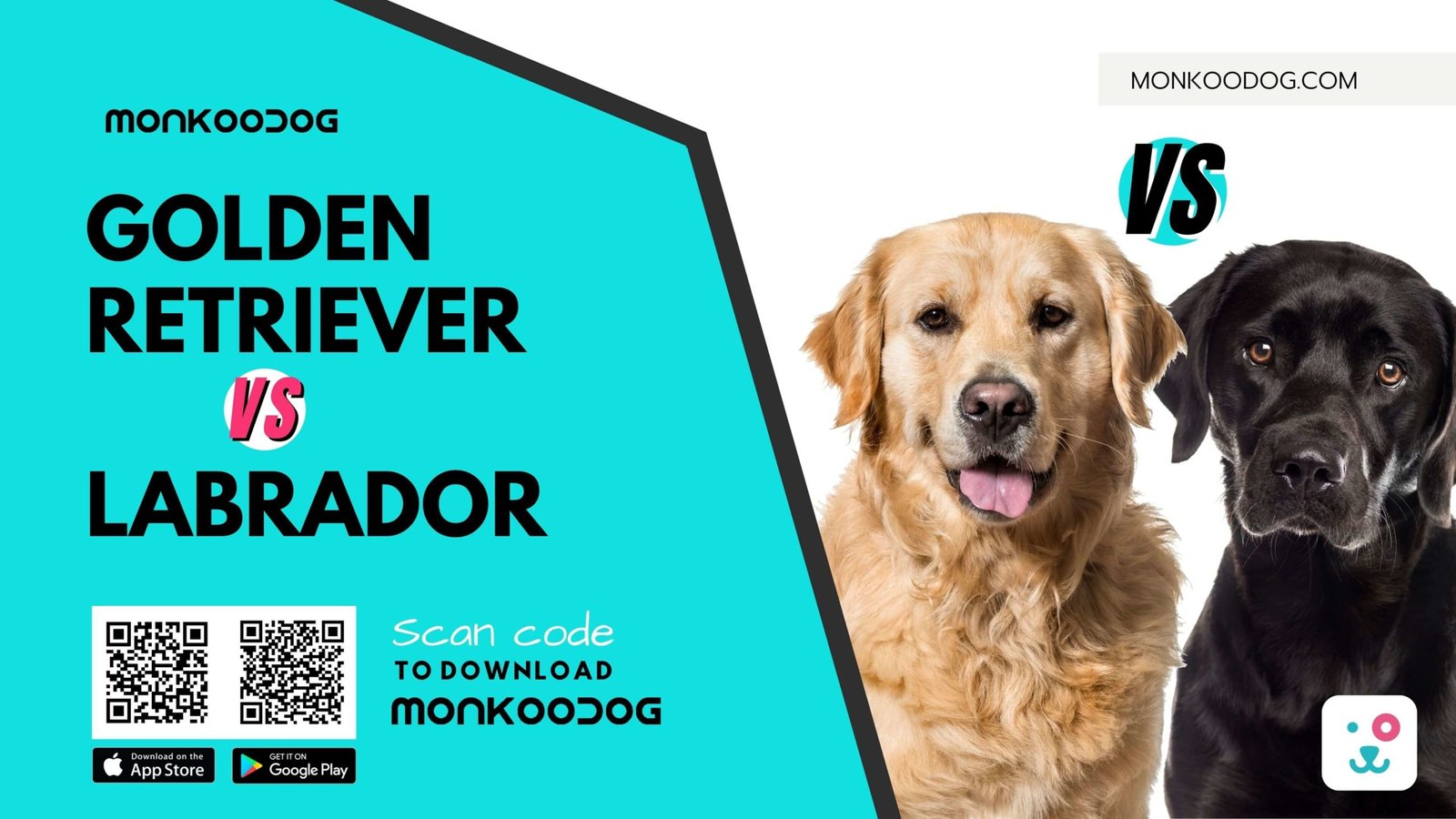 which is a better dog labrador or golden retriever